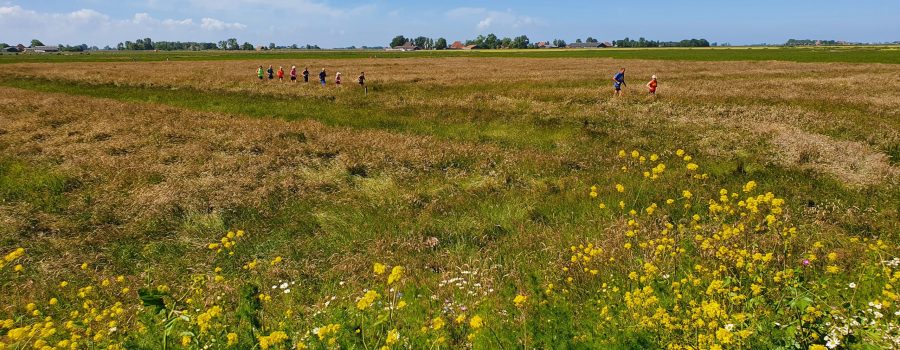 De Clinics Voor De Halve En Hele Berenloop Gaan Starten.